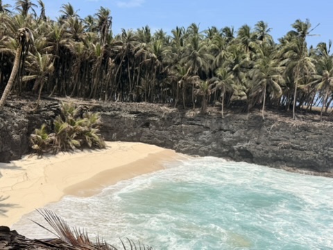 Excursão ao Ilhéu das Rolas